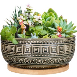 G EPGardening 8 Inch Ceramic Succulent Planter Pots Round Shallow Bonsai Planter Pot for Indoor Plants with Drainage and Bamboo Saucer Gray