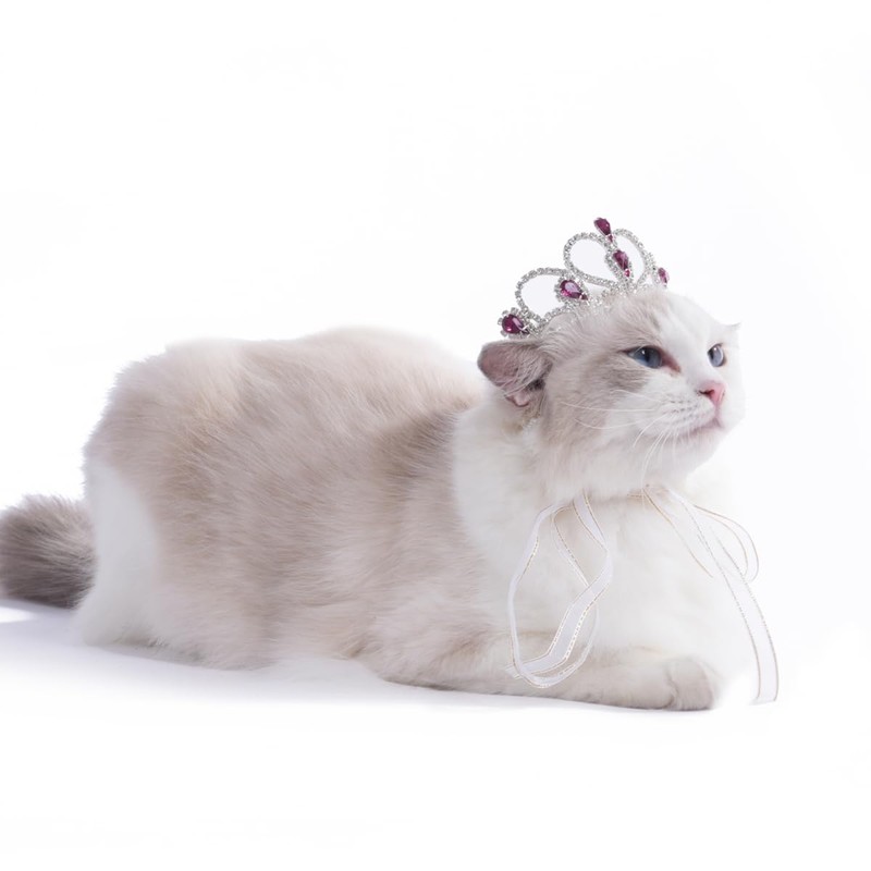 Lovelyshop Pet series Purple Gem Rhinestone Dog/Cat Tiara Crown for