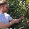 Rounton Coffee Roasters | 250g Green Colombian Unroasted Coffee Beans