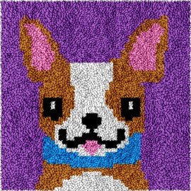 Yglnden Latch Hook Kits Rug Dog Crochet Yarn Cushion Colour Pre-Printed Canvas Rug Needlework DIY Hook and Latch Kit Christmas Home Decoration 30x30cm/12 X12in