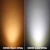 Rowrun PAR20 12W Narrow Flood Light Bulb E26 Dimmable LED