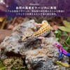Archnote Reptile Leopard Gecko Shelter Lizard Corn Snake Turtle Rock