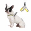 Step In Dog Harness with Reflective Stripes, Breathable Mesh Padded