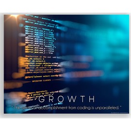 Growth Programmer Coding Python Computer Ruby Motivational Quotes Posters Bedroom Gift Room Print Classroom Office Home Decor 11X14 Inches Unframed