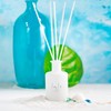 Inis The Energy of The Sea Fragrance Diffuser Set -