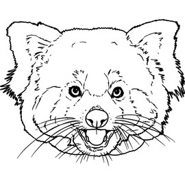 A8 'Red Panda Face' Unmounted Rubber Stamp (RS00043267)