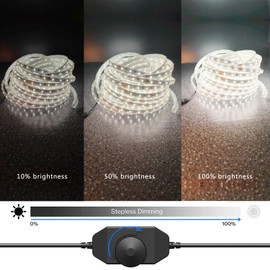 RYGDENG 100FT(2 Rolls of 50FT) Flat Rope Lights, Outdoor LED Rope Lighting Waterproof(Not for Dimmer & Adapter), White Strip Light for Bedroom, Dimmable 12V Low Voltage