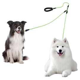 Double Lead for 2 Dogs, No Tangle Lead for 2 Dogs, 360° Rotatable, Reflective Dog Lead with Padded Handles, Running Training for Small, Medium and Large Puppies (Green, Large)