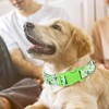 Dog Collar for Large Dogs, Irish Green Shamrock Clovers Dog