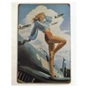 Donaly American Beauty Tin Signs, Set of 5, Wall Plates,
