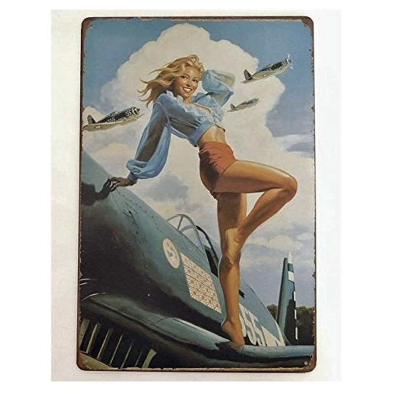 Donaly American Beauty Tin Signs, Set of 5, Wall Plates,