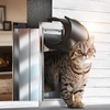 VOSOIR Cat Door for Wall, Small Pet Door, Heavy Duty