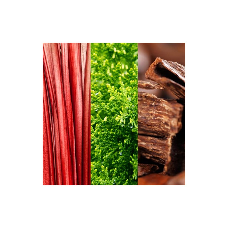 JOOP! Go! Eau de Toilette for him, holzig-fruchtiger Herrenduft, ein