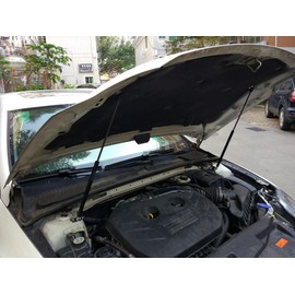 KUNSYOUKIM Lift Supports for Ford Fusion 2013-2020 Front Bonnet Hood Modify Carbon Fiber Gas Charged Shock Dampers Spring Struts Bar (2 PCS) (Normal Black)