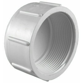 CHARLOTTE (ONE) Charlotte Pipe  Schedule 40  1-1/4 in. FPT Dia. FPT Threaded PVC  Cap