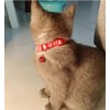The cat collar can be adjusted to the soft material