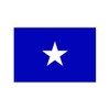 fagraphix Bonnie Blue Flag Sticker Decal Self Adhesive Southeastern us