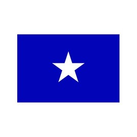 fagraphix Bonnie Blue Flag Sticker Decal Self Adhesive Southeastern us Dixie Civil war 1.25" Wide