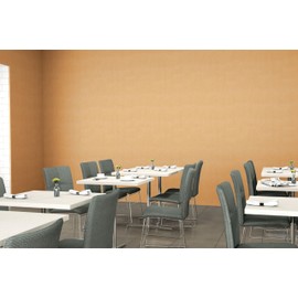 Formica Sheet Laminate - Vertical Grade - 4 x 8: Amber Maple, Matte Finish. Ideal for use on Low wear Surfaces Such as Cabinet Faces and Sides, Doors, Furniture, etc