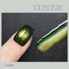 16.5 mL 9D Chameleon Cat Eye Gel Polish with Magnet,