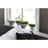 elho Brussels Diamond Oval 36 - Flower Pot for Indoor