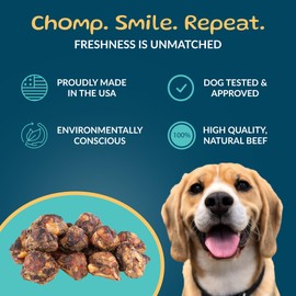 TREATOPIA Adventure Dog Bones, Knee Caps, 16 PC - All-Natural, Dogs Love Them, Long-Lasting, Healthy, Single Ingredient, Hand-Trimmed, Slow-Roasted, Made in The USA, No Additives, No Fillers