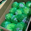 국내산 양상추 5개 2kg 내외 Domestic Lettuce 5 Pieces Approximately