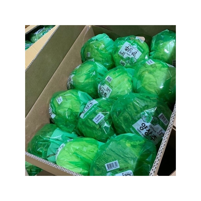 국내산 양상추 5개 2kg 내외 Domestic Lettuce 5 Pieces Approximately