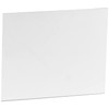 Jackson Safety TRANSLIGHT 555 Internal Safety Plate, Pack of 10,