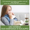 Organic Eucaliptus - 100% Organic, Pure and Natural Essential Oil