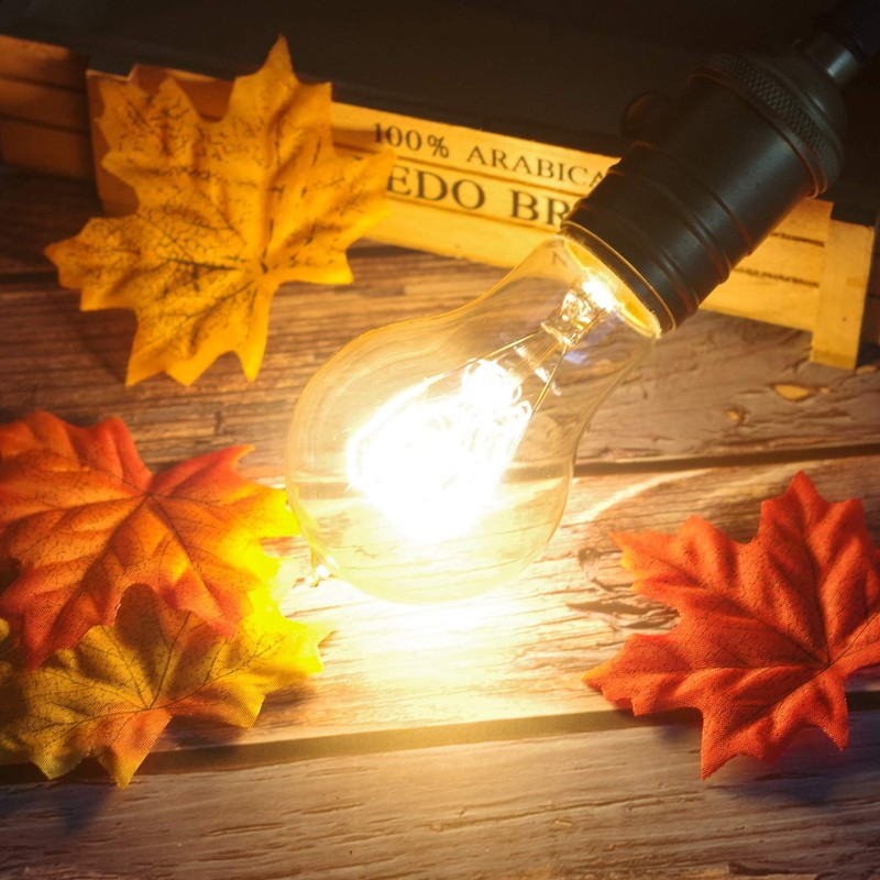 Jslinter 6-Pack Edison Light Bulb 60 Watt, Dimmable A19 Antique