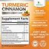 Turmeric Curcumin Supplement Gummies with Ginger & Cinnamon, 95% Curcuminoids
