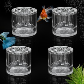 4 Pack Planaria Catch Trap Aquarium Snail Leech Clear Glass Trap for Dwarf Shrimp Cherry Shrimp (8 Holes)