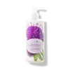 100% Pure Healthy Scalp Conditioner, 236ml