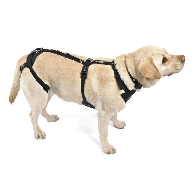 Ortocanis - Full Body Harness for Front and Rear Legs