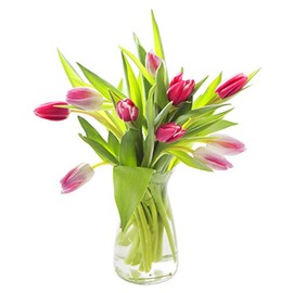 KaBloom PRIME NEXT DAY DELIVERY - Fall Collection - Life and Love Pink & Red Tulips Fresh.Gift for Birthday, Anniversary, Get Well, Easter, Valentine, Mother’s Day Fresh Flowers