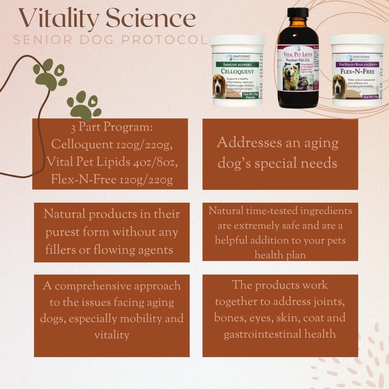 Senior Dog Protocol (Large)