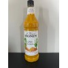 LE SIROP DE MONIN GOLDEN TURMERIC SYRUP UNOPENED BRAND NEW