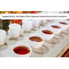 Cha4TEA 100-Count Variety Pack Tea, Compatible with Keurig Brewers, Includes