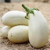 RAISE ME UP: Seeds White Eggplant Aubergines Non GMO Heirloom