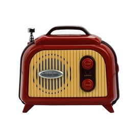 LEGAMI FM0001 Portable Mini Radio Recorder