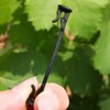 Ximimark 100 pcs Garden Plants Bundled Buckle Grape Vines Vegetable
