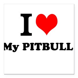 CafePress I Love My Pitbull Square Car Magnet 3 X 3 Square Car Magnet, Magnetic Bumper Display