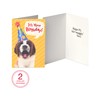 American Greetings Kids Birthday Cards Bundle (12-Count)