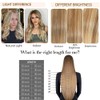 Belaved 18 Inch Highlight Ombre Lace Front Wigs Human Hair