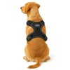 Wagzee Dog Harness – No Pull Adjustable Harness for Small,