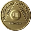 13 Year AA Medallion Traditional Bronze Raised Center Sobriety Chip