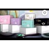 Jewel Sanitary Napkins LLC REIGN PREMIUM SANITARY NAPKINS- Overnight/Supe