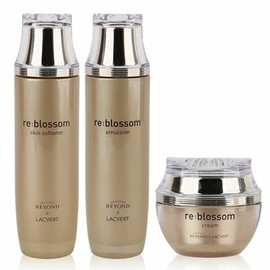 Glowing skin, skin protection, blooming flower-like women’s cosmetics 3-piece set (WB70BB1) / 빛나는피부 피부보호막 꽃이피듯 여자화장품 3종세트 (WB70BB1)