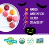 YumEarth Assorted Organic Lollipops 40 Count Vegan Gluten Free Allergy